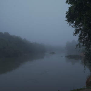 The Land of Forgotten Songs